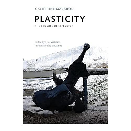 Plasticity: The Promise of Explosion