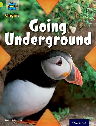 Project X Origins: Lime Book Band, Oxford Level 11: Underground: Going Underground von Oxford University Press