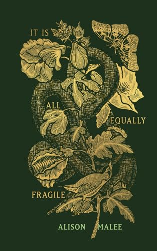 It Is All Equally Fragile
