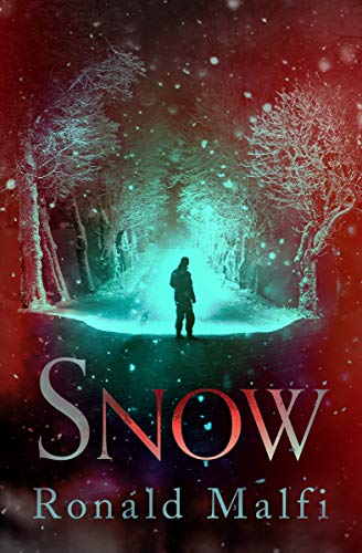 Snow von Open Road Media