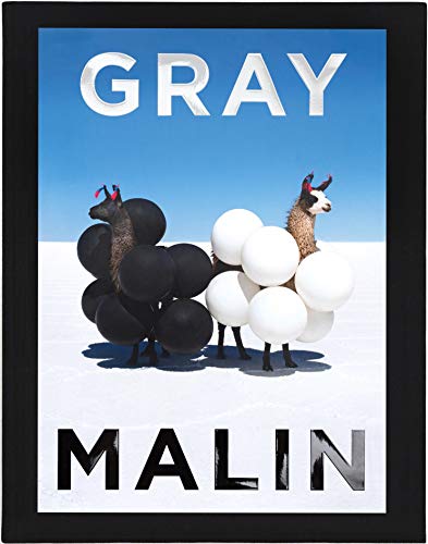 Gray Malin: The Essential Collection von Abrams Books