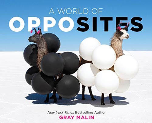 A World of Opposites: Gray Malin: 1