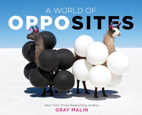 A World of Opposites: Gray Malin: 1