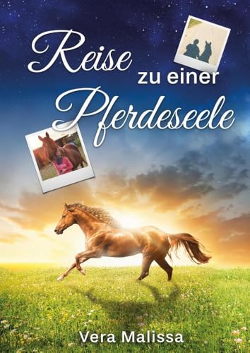 Reise zu einer Pferdeseele: Eine autobiografische Erzählung