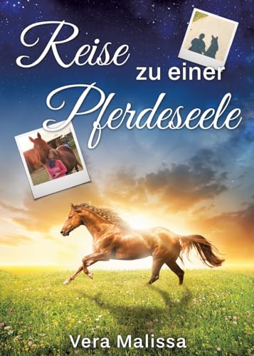 Reise zu einer Pferdeseele: Eine autobiografische Erzählung von tredition