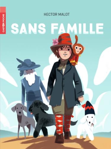 Sans famille au cinéma