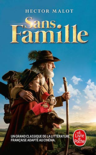 Sans famille: Roman Sans famille: Roman