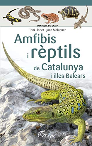 Amfibis i rèptils de Catalunya i illes Balears (Miniguia de camp) von Cossetània Edicions