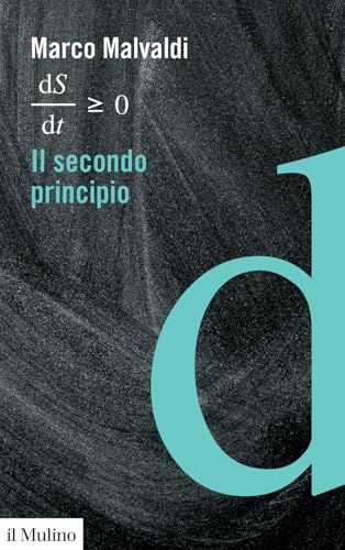 IL SECONDO PRINCIPIO von Il Mulino