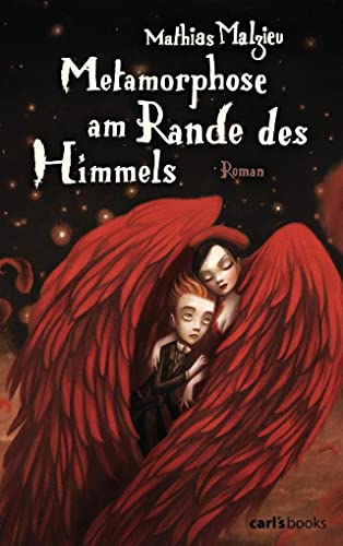 Metamorphose am Rande des Himmels: Roman