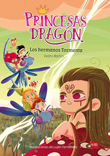 Los hermanos Tormenta (Princesas Dragón, Band 5) von EDICIONES SM