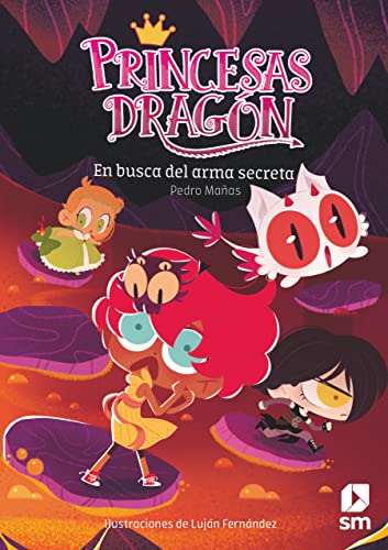 Princesas Dragón 13: En busca del arma secreta von EDICIONES SM