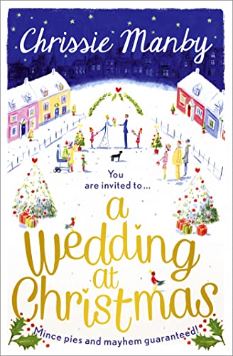 A Wedding at Christmas: full of magic, fun and festivity for Christmas 2023 (Proper Family)