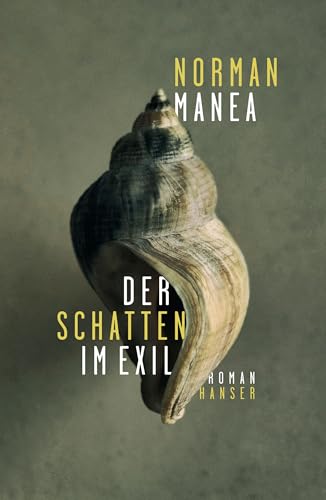 Der Schatten im Exil: Roman