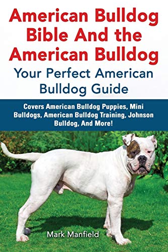 American Bulldog Bible And the American Bulldog: Your Perfect American Bulldog Guide Covers American Bulldog Puppies, Mini Bulldogs, American Bulldog Training, Johnson Bulldog, And More! von Dym Worldwide Publishers