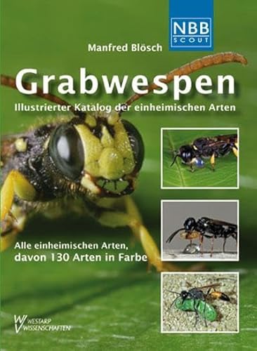 Grabwespen: Illustrierter Katalog der einheimischen Arten (NBB Scout)