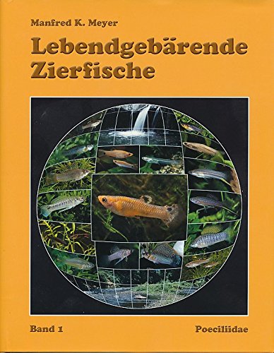Lebendgebärende Zierfische von Chimaira