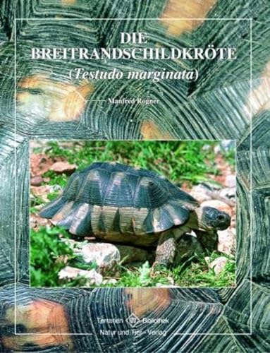 Die Breitrandschildkröte (Testudo marginata) von NTV Natur und Tier-Verlag