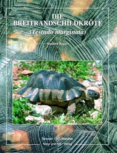 Die Breitrandschildkröte (Testudo marginata) von NTV Natur und Tier-Verlag
