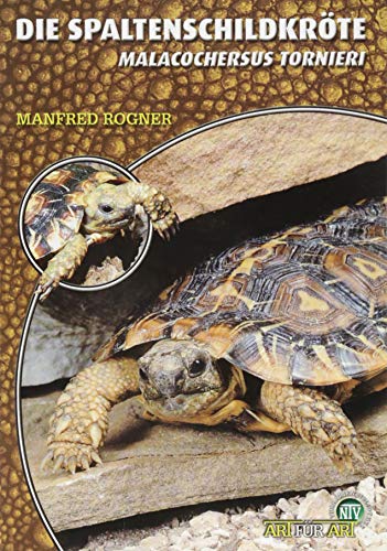 Die Spaltenschildkröte: Malacochersus tornieri von NTV Natur und Tier-Verlag