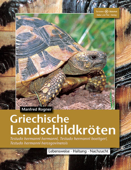 Griechische Landschildkröten von NTV Natur und Tier-Verlag