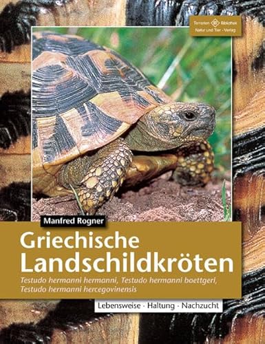 Griechische Landschildkröten: Testudo hermanni hermanni, Testudo hermanni boettgeri, Testudo hermanni hercegovinensis: (Testudo hemanni hermanni, T. ... Haltung und Vermehrung (Terrarien-Bibliothek) von NTV Natur und Tier-Verlag