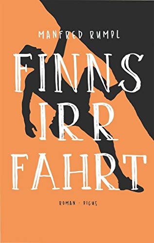 Finns Irrfahrt: Roman von Picus Verlag