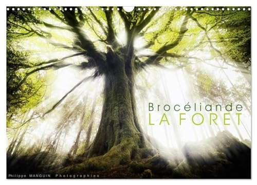 BROCELIANDE, la forêt (Calendrier mural 2025 DIN A3 vertical), CALVENDO calendrier mensuel: photographies de la forêt de Brocéliande