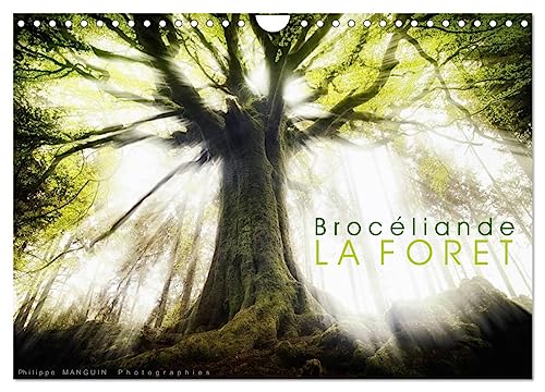 BROCELIANDE, la forêt (Calendrier mural 2025 DIN A4 vertical), CALVENDO calendrier mensuel: photographies de la forêt de Brocéliande von Calvendo