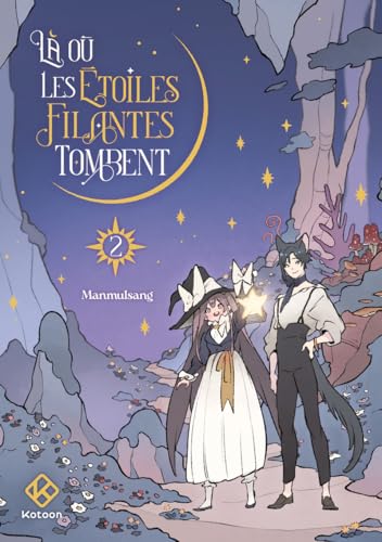 Là où les étoiles filantes tombent - Tome 2 von KOTOON