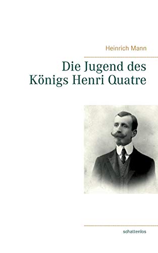 Die Jugend des Königs Henri Quatre von Books on Demand
