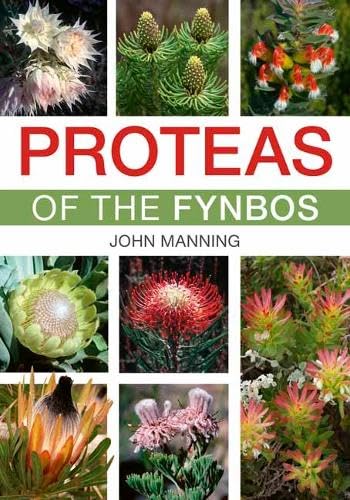 Proteas of the Fynbos von Struik Nature