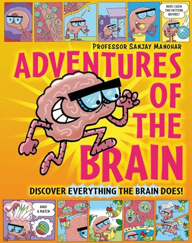 Adventures of the Brain: What the brain does and how it works