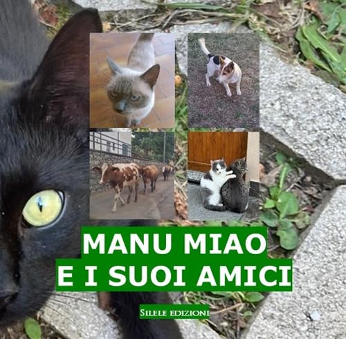 Manu Miao e i suoi amici (Fantastic) von Silele