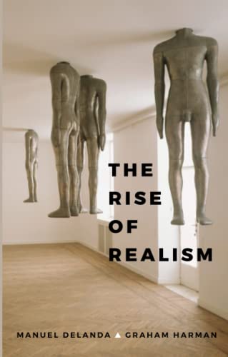 The Rise of Realism von Polity