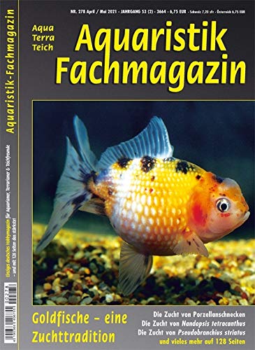 Aquaristik-Fachmagazin, Ausgabe Nr. 278 (April/Mai 2021), Titelthema: GOLDFISCHE - EINE ZUCHTTRADITION und viele weitere Artikel im einzigen deutschen AquaTerraTeich-Magazin auf 128 Seiten von Tetra Verlag GmbH