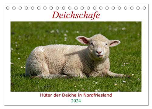 Deichschafe - Hüter der Deiche in Nordfriesland (Tischkalender 2024 DIN A5 quer), CALVENDO Monatskalender von CALVENDO