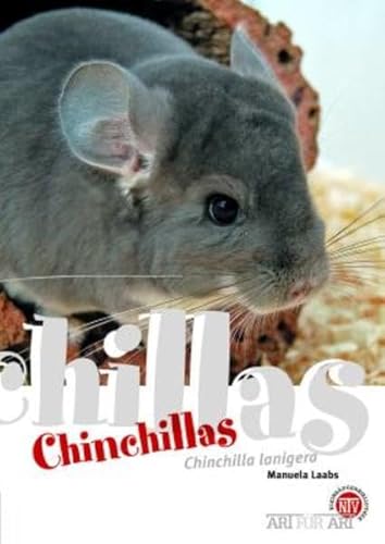 Chinchillas: Chinchilla lanigera (Buchreihe Art für Art Kleinsäuger)