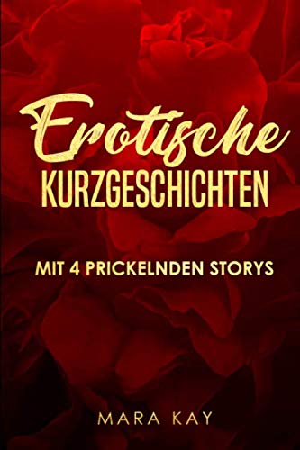 4 erotische Kurzgeschichten: Sexgeschichten ab 18 unzensiert von Independently published