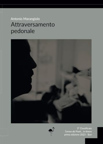 Attraversamento pedonale von G. C. L. edizioni