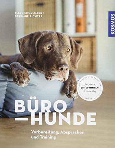 Bürohunde: Vorbereitung, Absprachen und Training