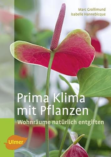 Prima Klima mit Pflanzen: Wohnräume natürlich entgiften