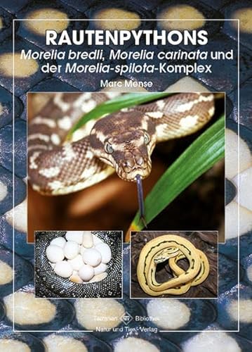 Rautenpythons: Morelia bredli, Morelia cardinata und Morelia spilota-Komplex: Moralia bredli, Moralia cardinata und moralia spilota-Komplex (Terrarien-Bibliothek)