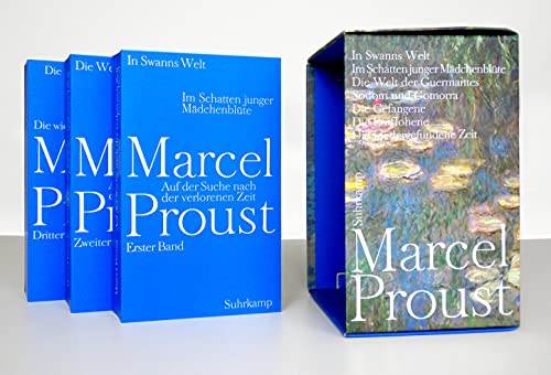 Auf der Suche nach der verlorenen Zeit. 3 Bände Auf der Suche nach der verlorenen Zeit. 3 Bände