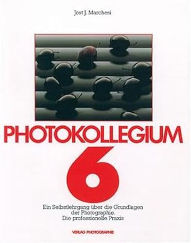 Photokollegium. Band 1 bis 6: Photokollegium, Bd.6, Die professionelle Praxis: Ein Selbstlehrgang über die technischen Grundlagen der Photographie. Die professionelle Praxis