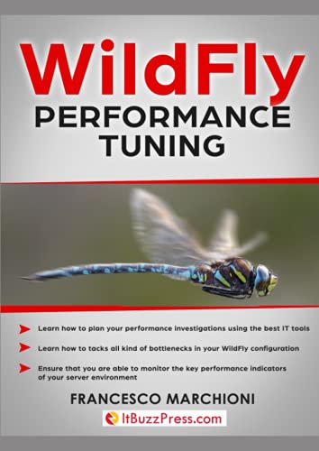 WildFly Performance Tuning von Independently published
