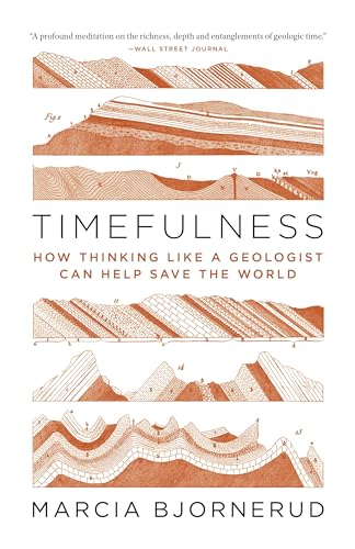 Timefulness: How Thinking Like a Geologist Can Help Save the World von Princeton University Press