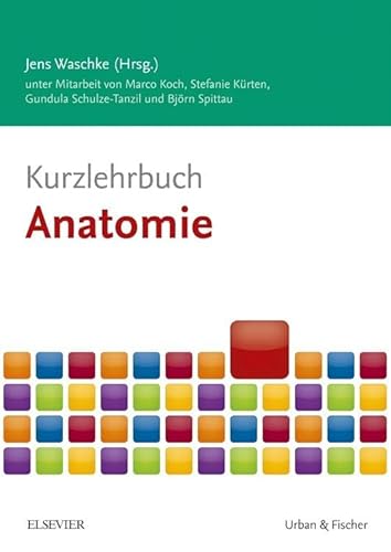 Kurzlehrbuch Anatomie (Kurzlehrbücher)