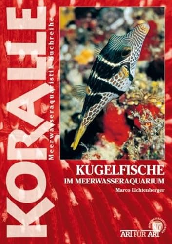 Kugelfische im Meerwasseraquarium: Die Gattungen Arothron, Canthigaster und andere (Buchreihe Art für Art Meerwasser)