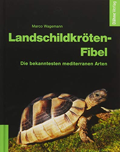 Landschildkröten-Fibel: Die bekanntesten mediterranen Arten